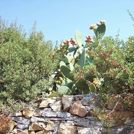 Sunny House With Amazing View For 4+2 Persons * Plaka (Naxos)